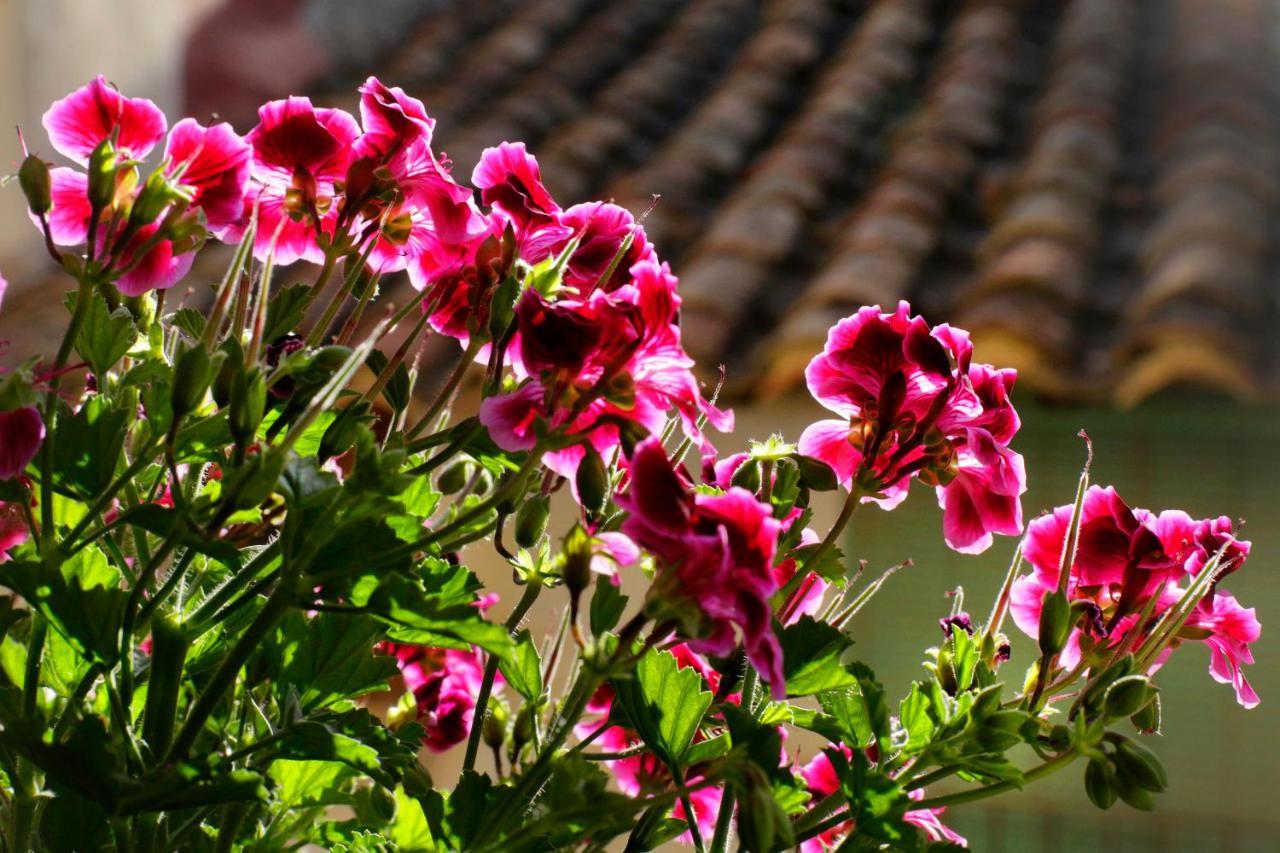 Aduana * Rubielos De Mora