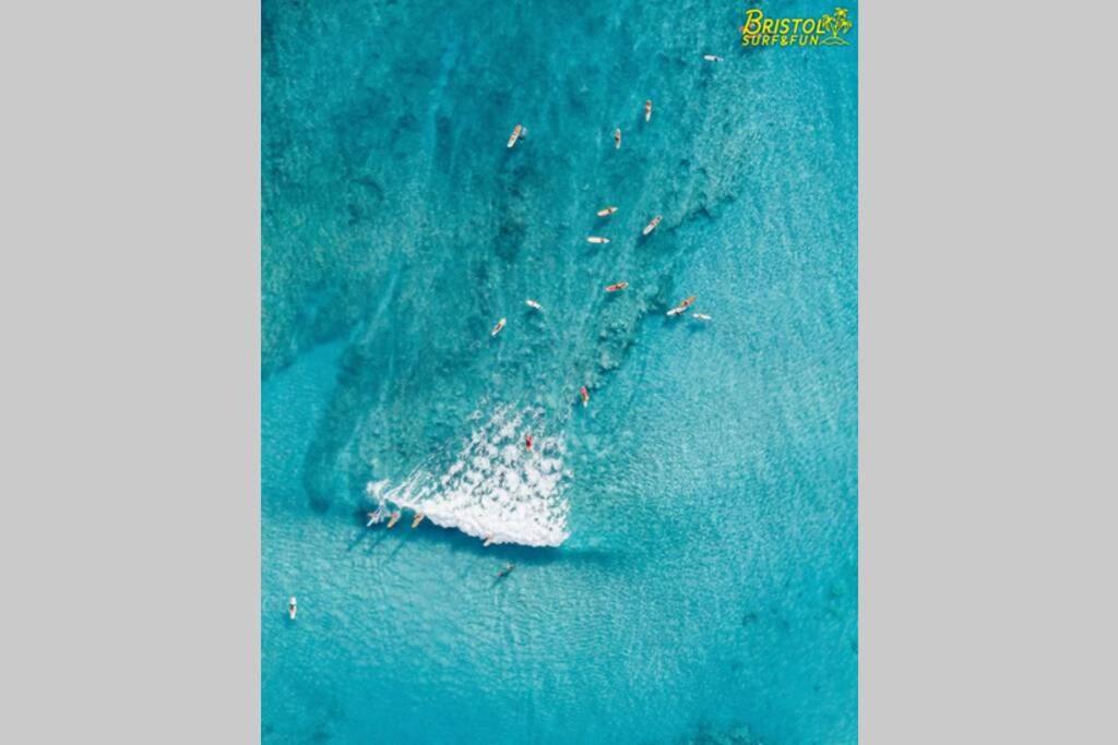 Bristol Surf&fun - - Wifi Free