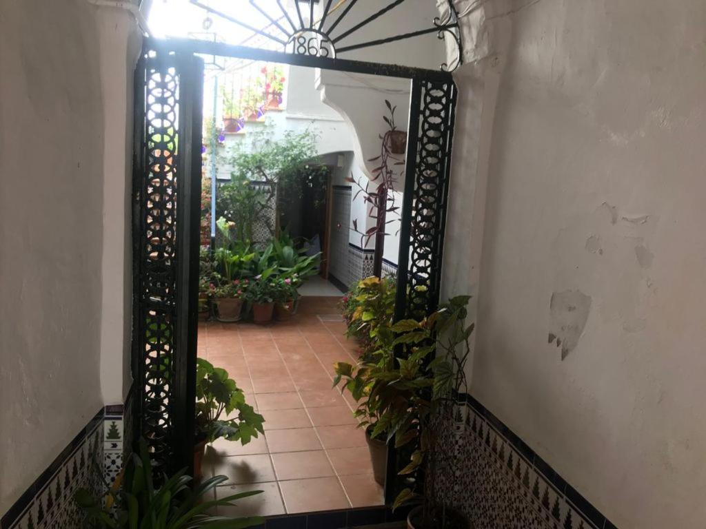 Apartment Antonio Ureba 9 Conil De La Frontera