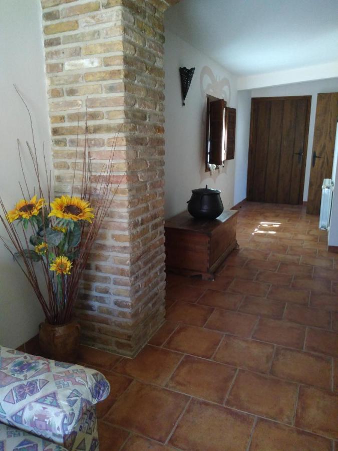 Apartment Masico Santana *