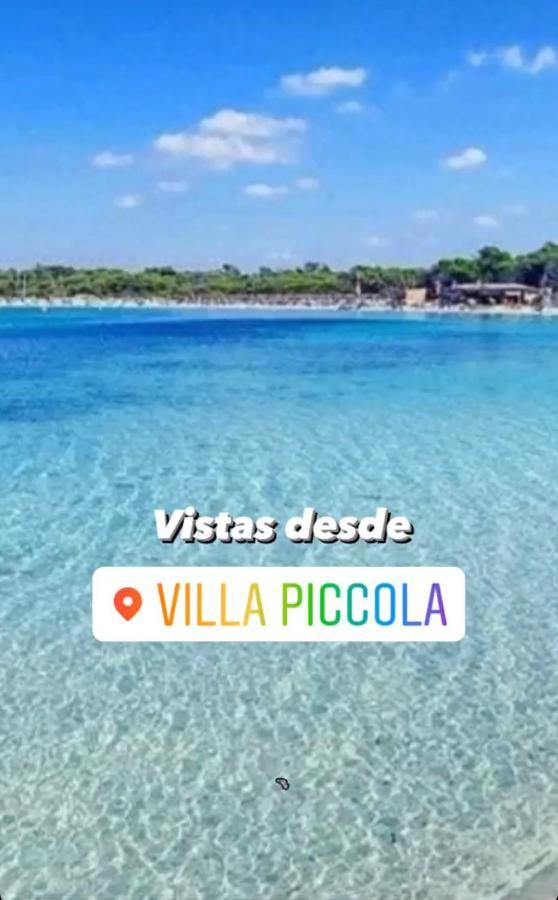 Piccola By Cassai