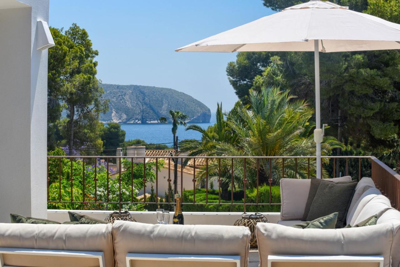 Amipa Moraira