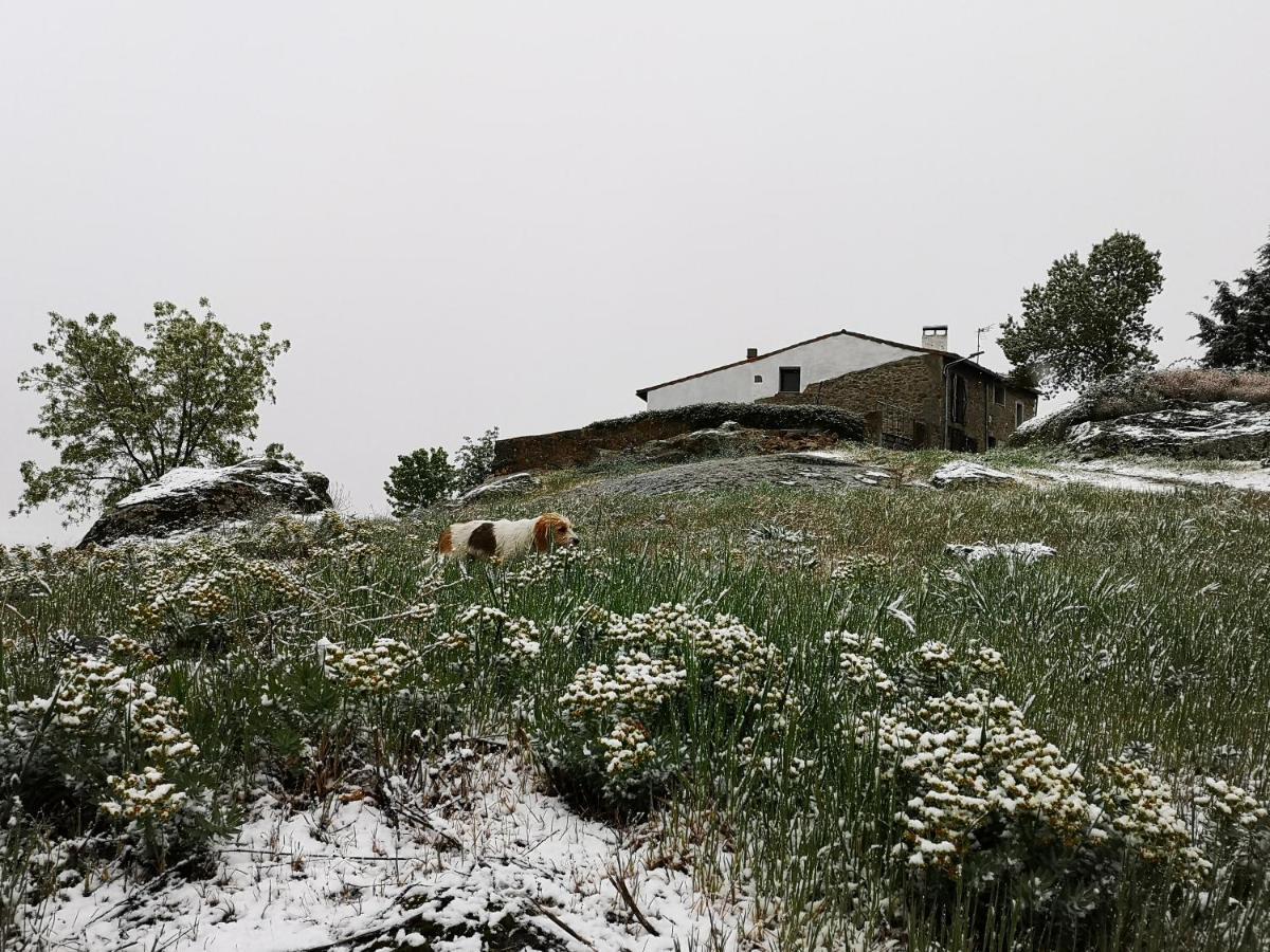 El Triskel De Chumbea, Excepcional Con Maravillosas Vistas A 5km De Bejar Apartment Navalmoral de Bejar