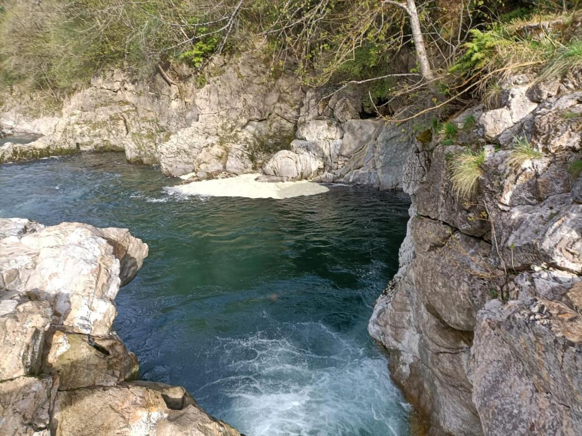 La Salmonera 2*