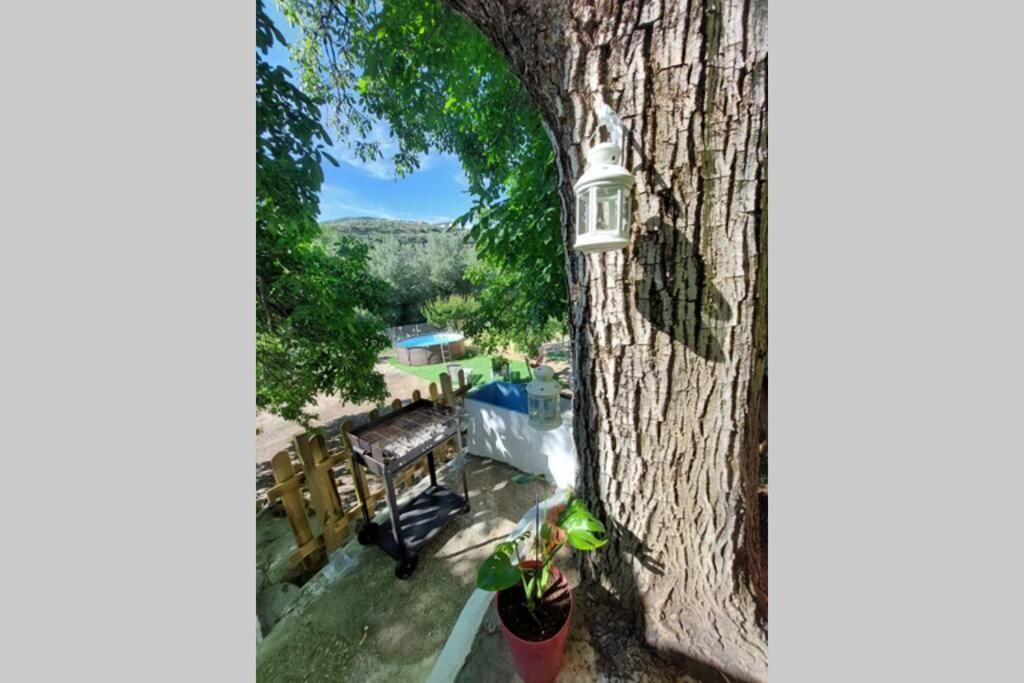 Holiday home La Huerta Del Castillo Con Su Caz De Agua - Enjoy Life & Relax
