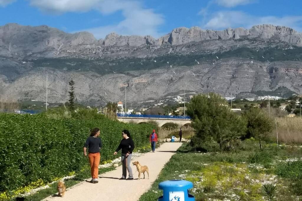 Apartamento Beachfront Apt! Ac - Pool - Parking Altea
