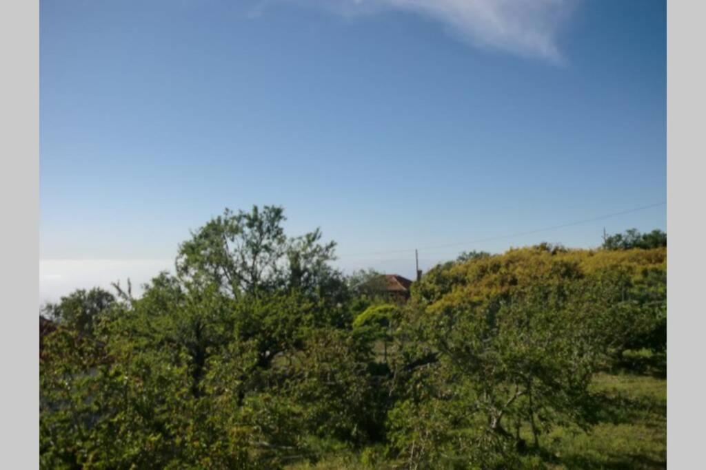 Casa Corea 2 Puntagorda (La Palma)