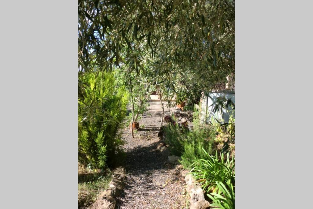 Holiday home Casa Corea 2 Puntagorda (La Palma)