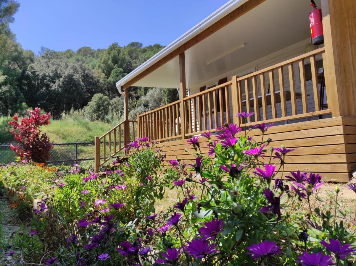 Roca Grossa Camping