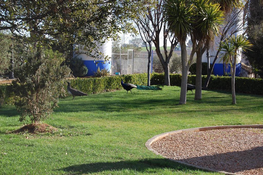 El Cortijo De 2*