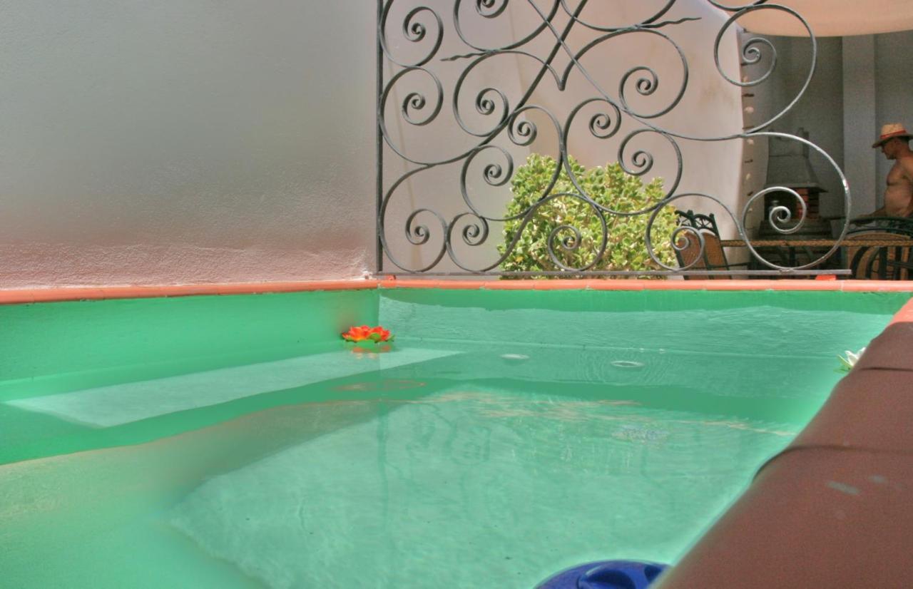 Entre Vinyes Holiday home
