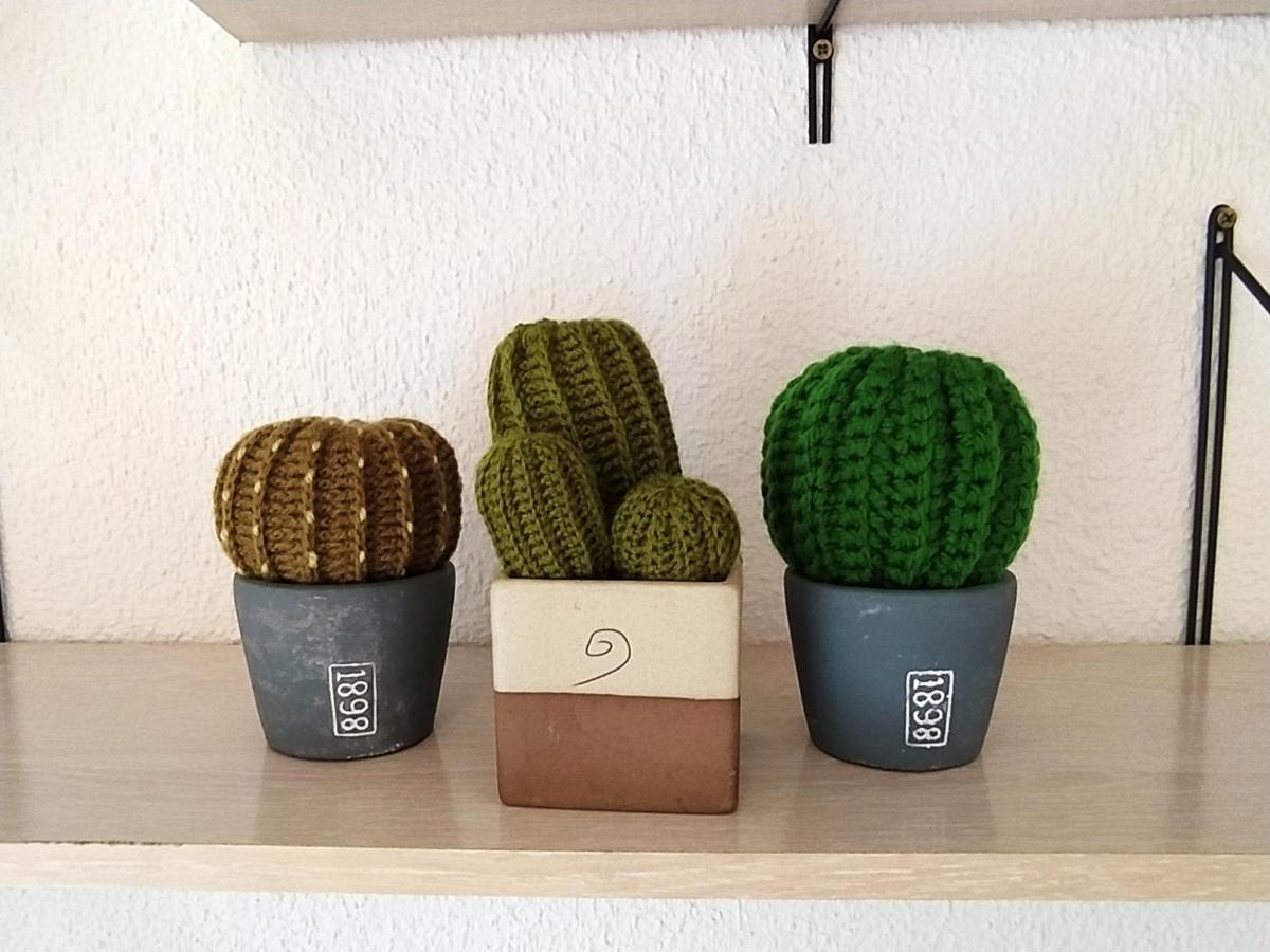 Apartamento Cactus *