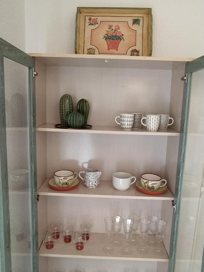 Apartment Apartamento Cactus