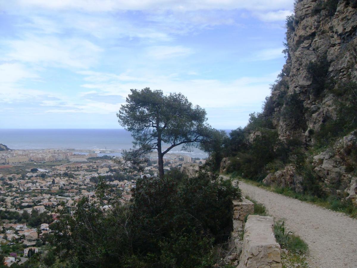 Vinas Denia