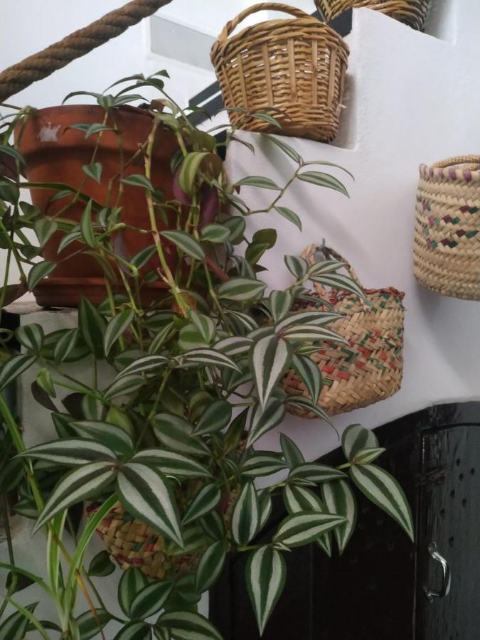 Casa Museo Quintin Holiday home Gerena