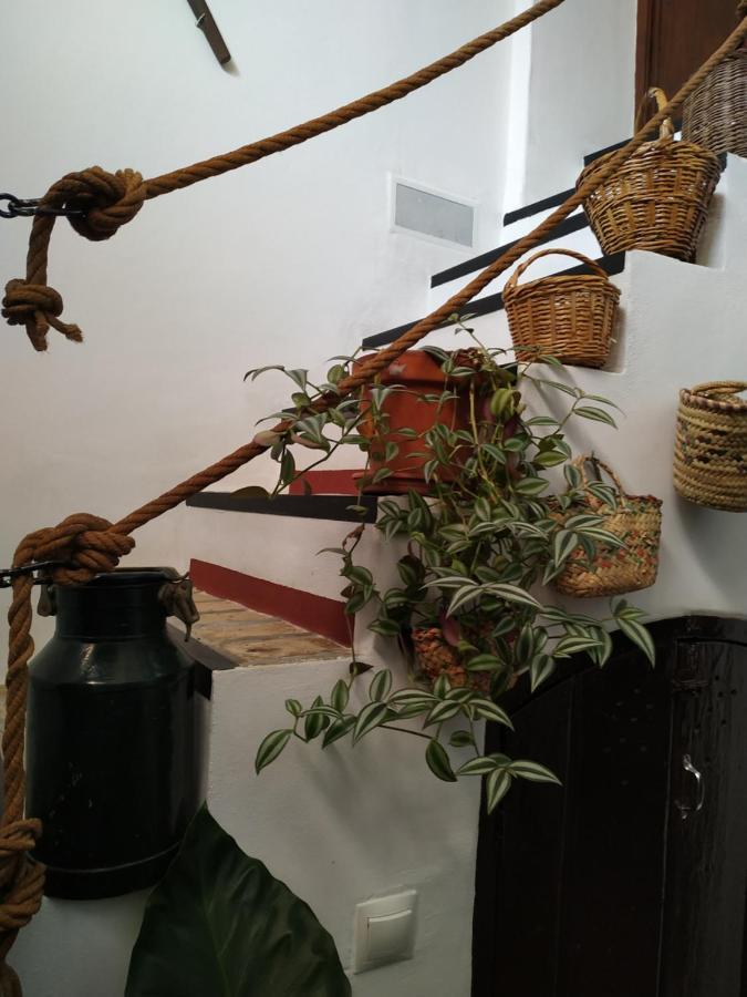 Casa Museo Quintin *