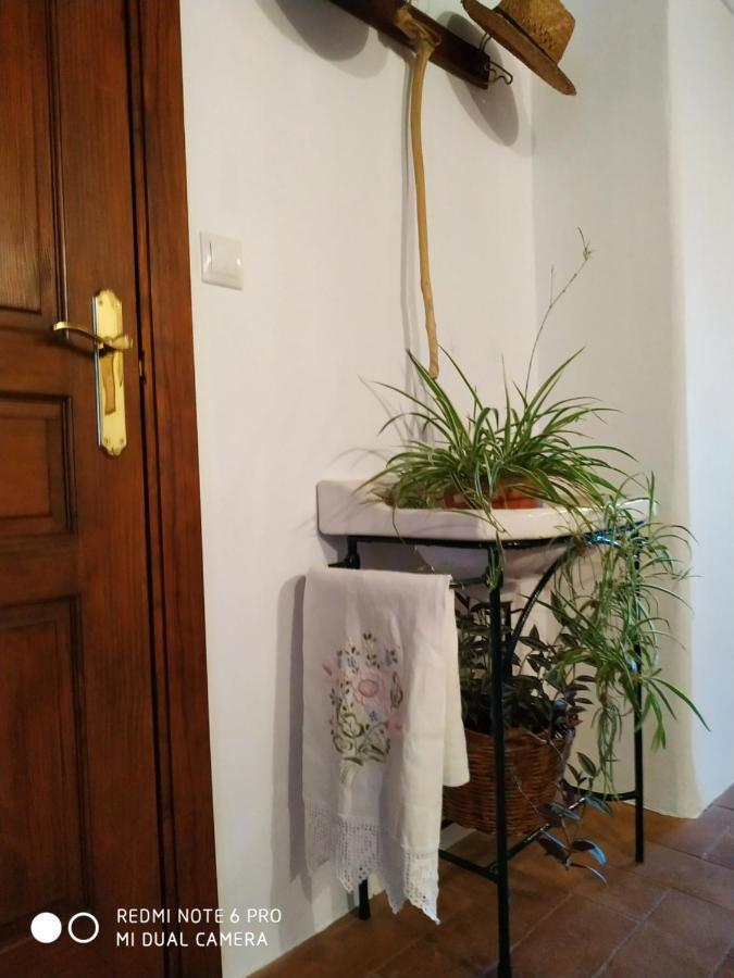 Casa Museo Quintin Holiday home *