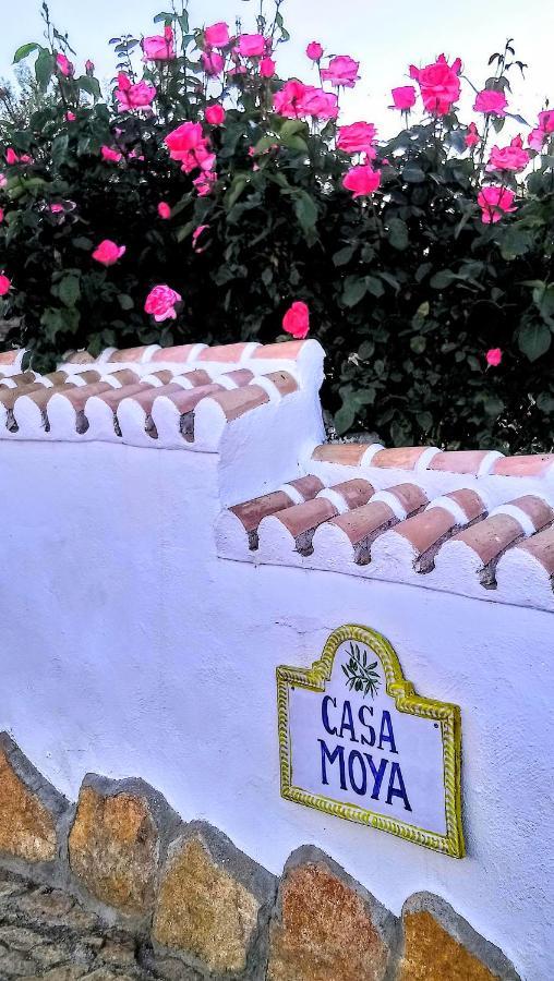 Casa Moya Villa