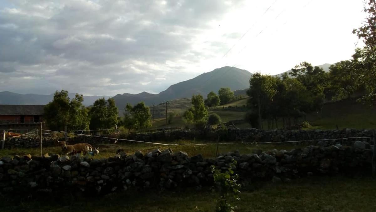 Descanso En Babia
