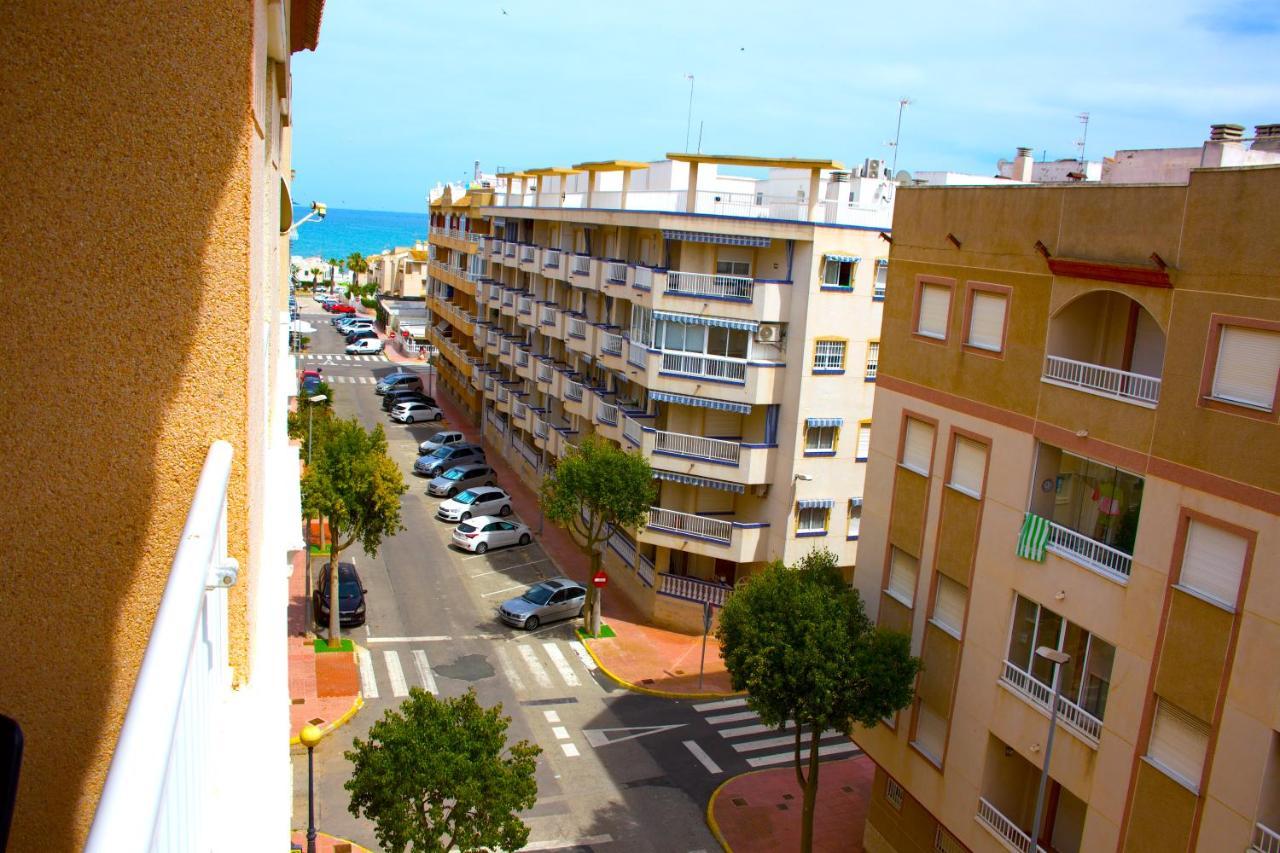 Naranjos * Guardamar del Segura