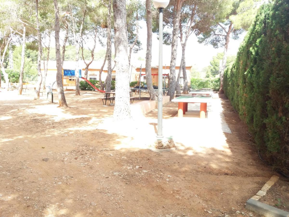 Apartment Vinas
