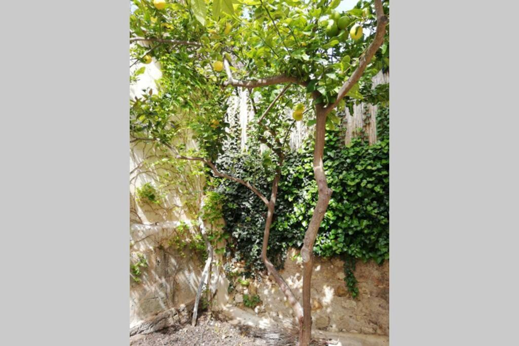 Cas Potecari Holiday home