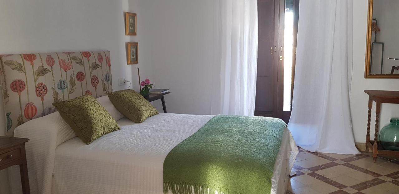 Bed and breakfast Danzantes