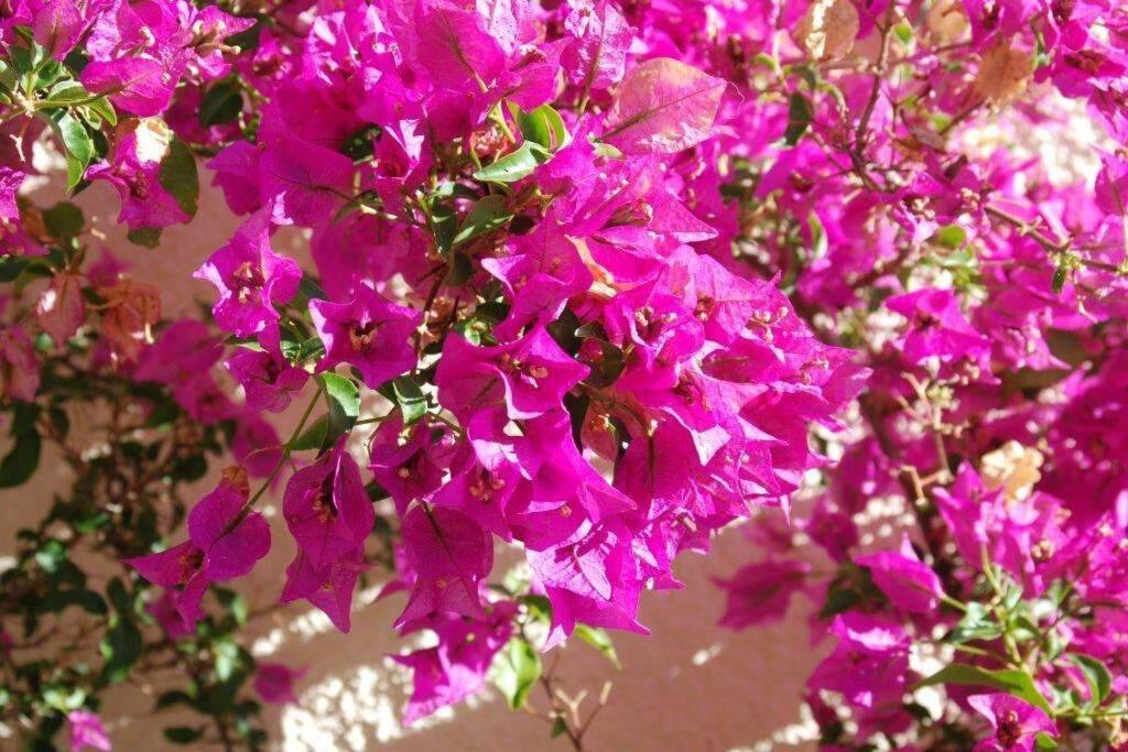 Casa Helena Villa Moraira