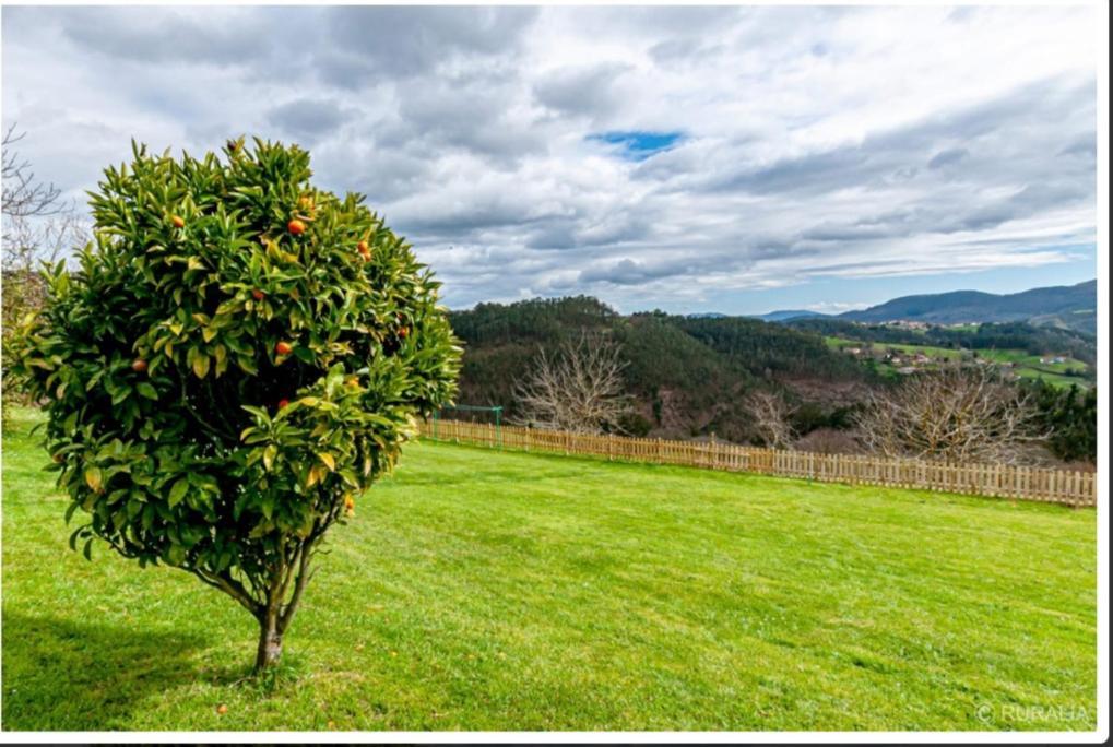 Casa Hortensia Сasa de vacaciones Salas (Asturias)