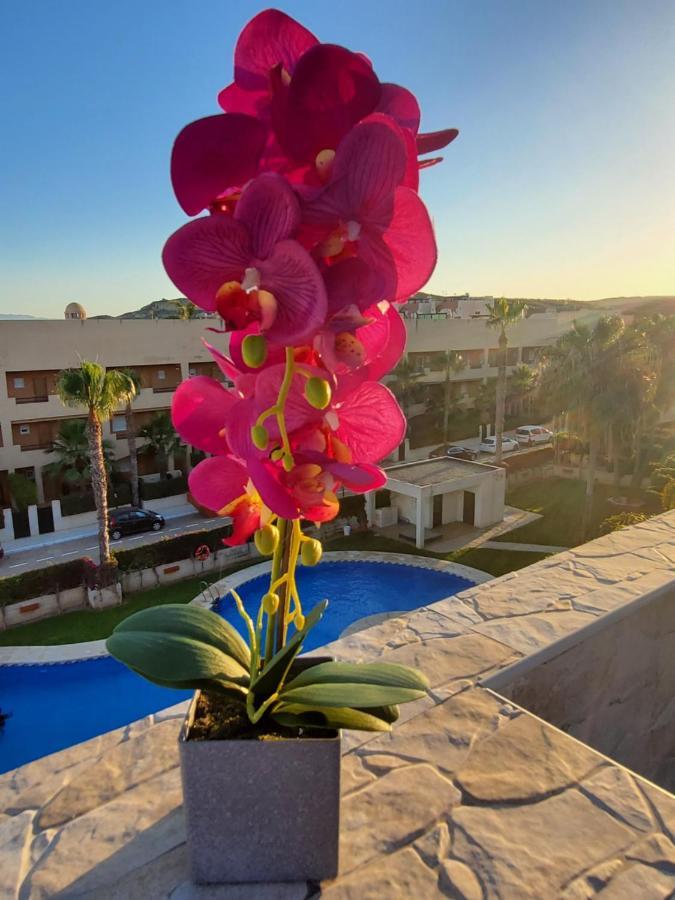 Apartamento ático Precioso Con Piscina Privada En Paraíso De Vera! *