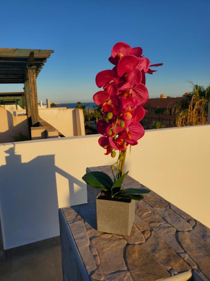 ático Precioso Con Piscina Privada En Paraíso De Vera! * Vera