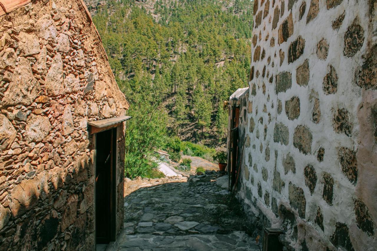 Lomito Del Pino Tejeda (Gran Canaria)