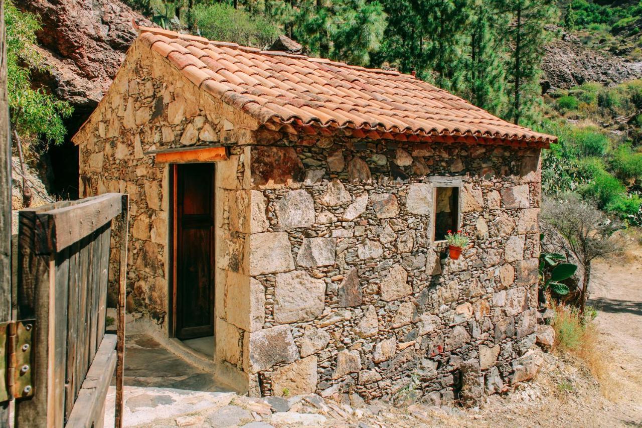 Lomito Del Pino Сasa de vacaciones