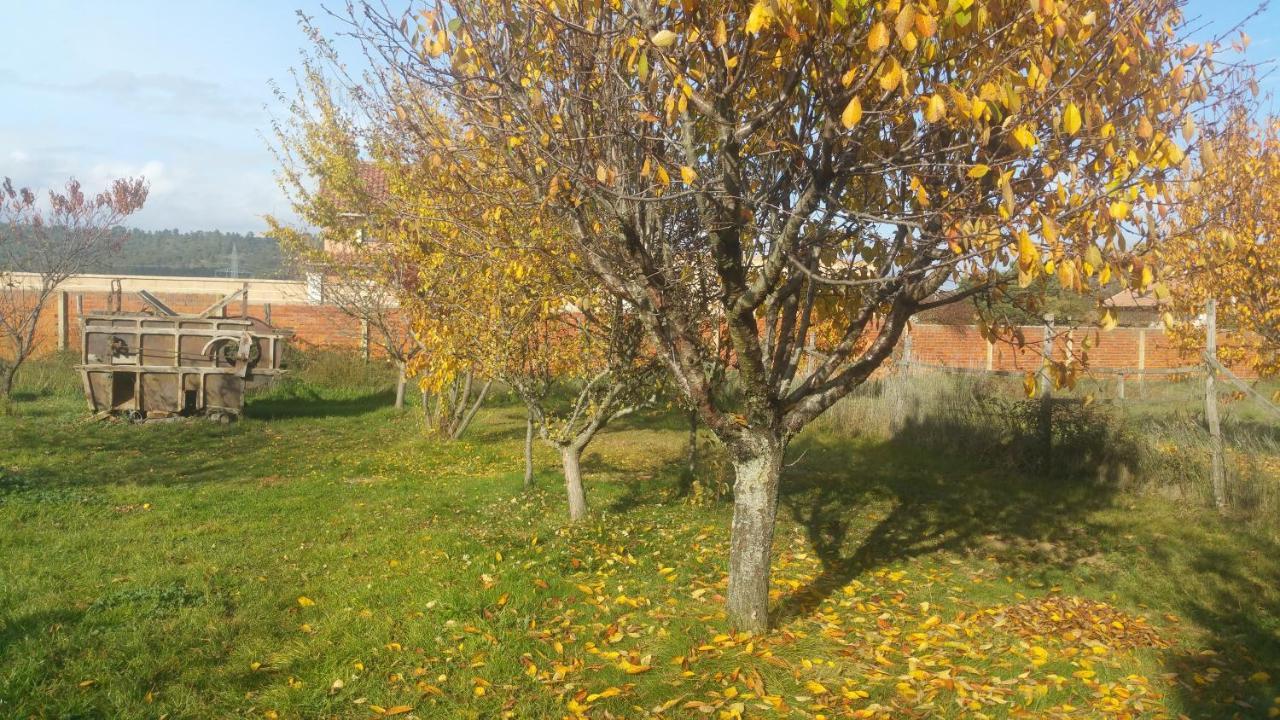 Casa rural águedas *