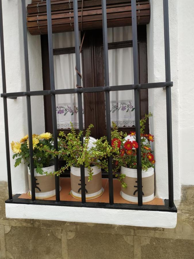 Casa Museo Quintin Holiday home *