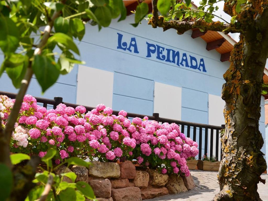Apartamento La Peinada *