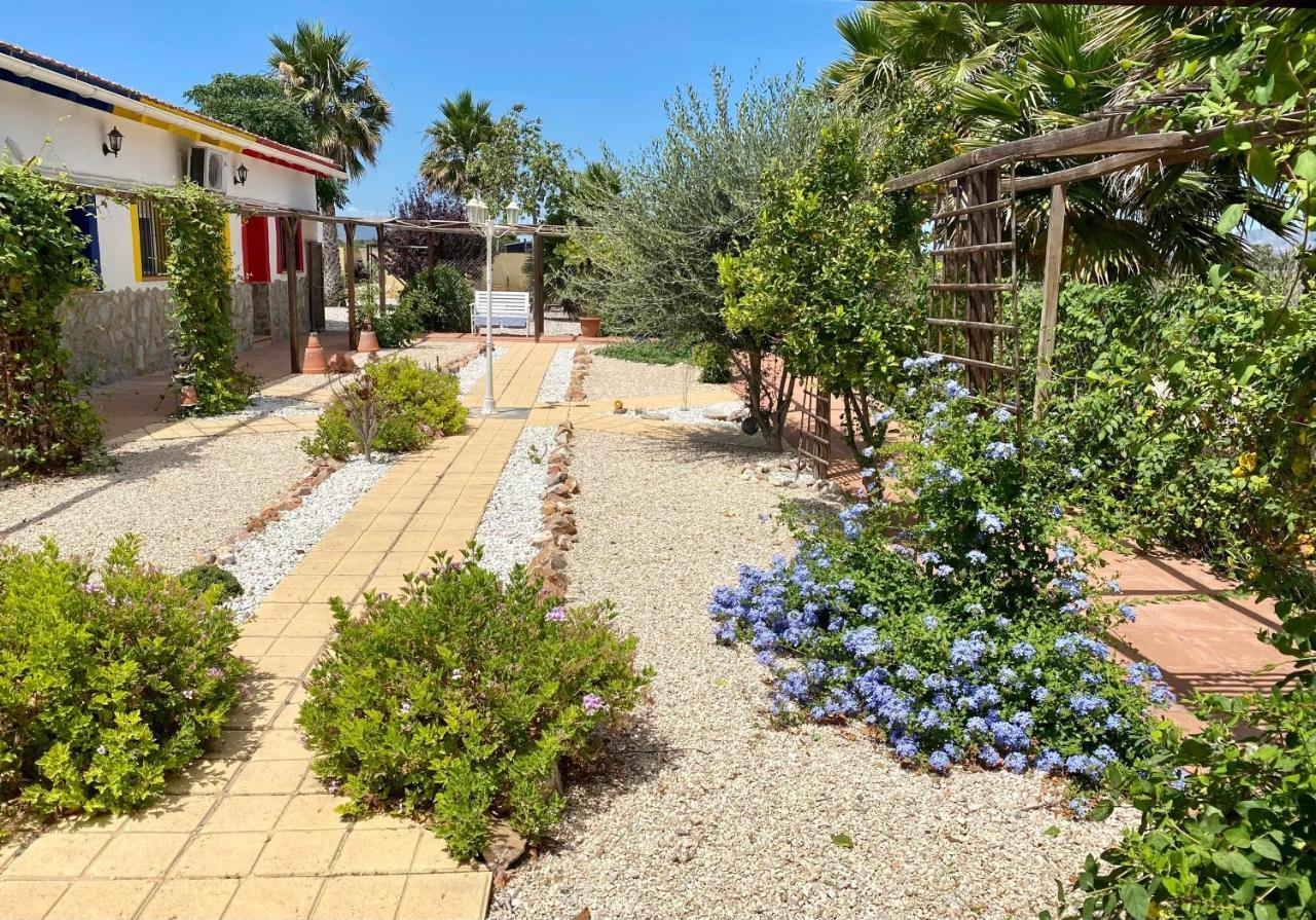 Bed & Breakfast Casa Azul Crevillente