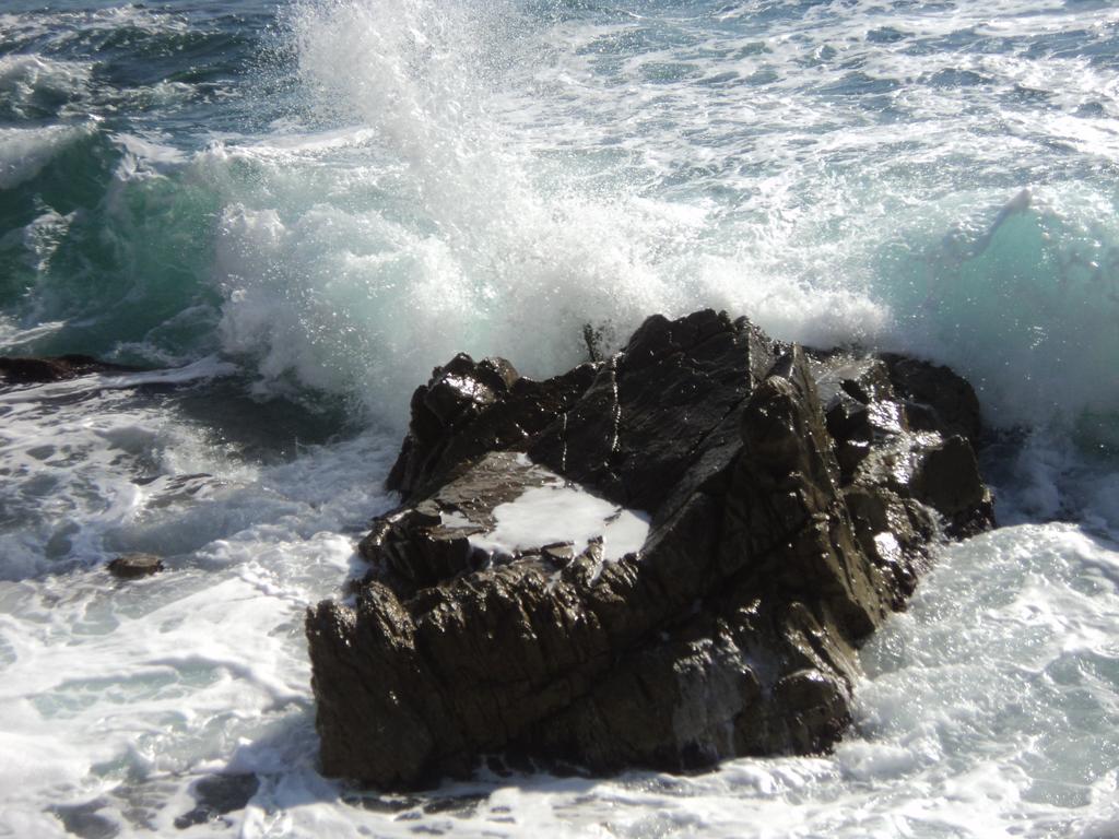 Caleta *