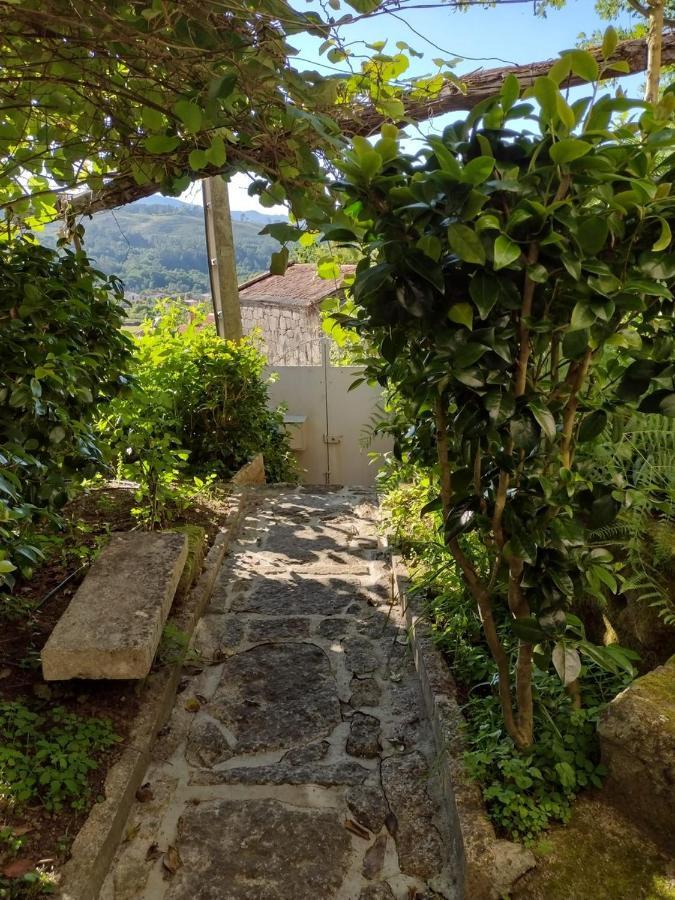 Catarina - Xuresvillas *