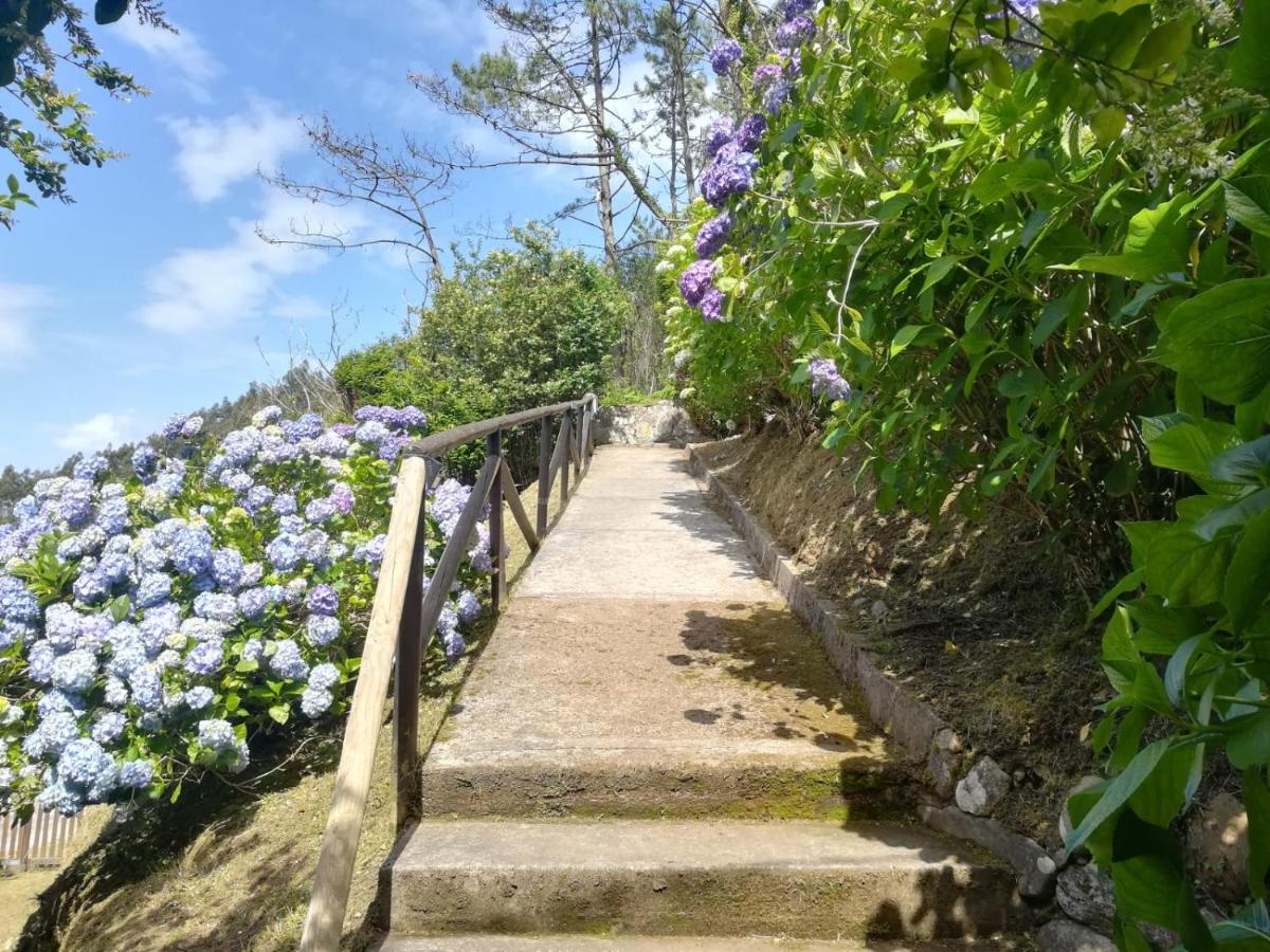 Villa Alejandra Cudillero