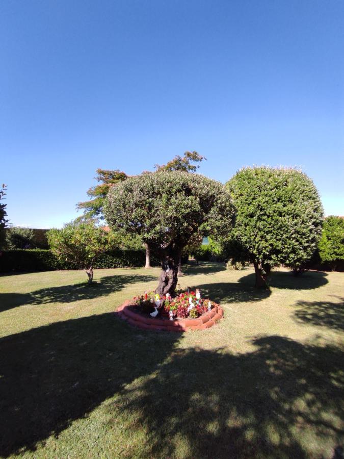 Guest house Pension Casa Carmela Playa de la Lanzada