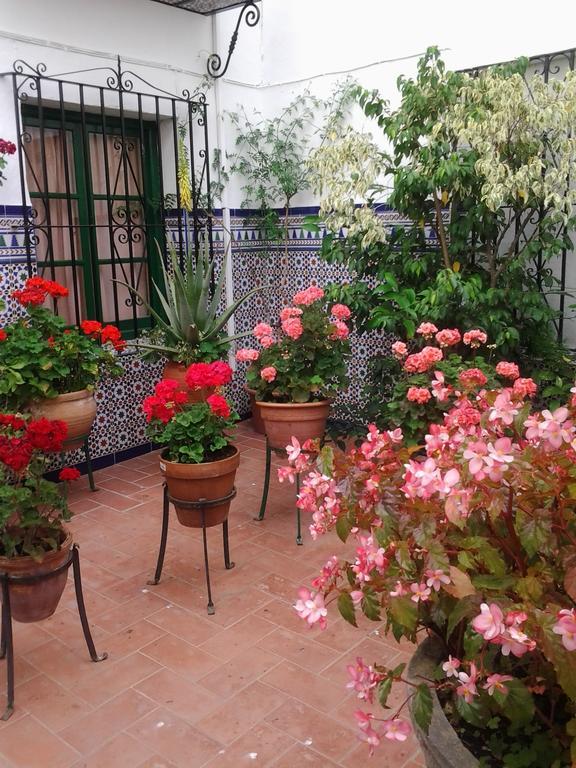 Enriqueta Marbella