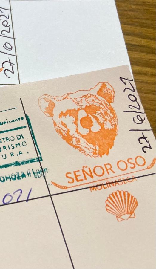 Senor Oso Hostel