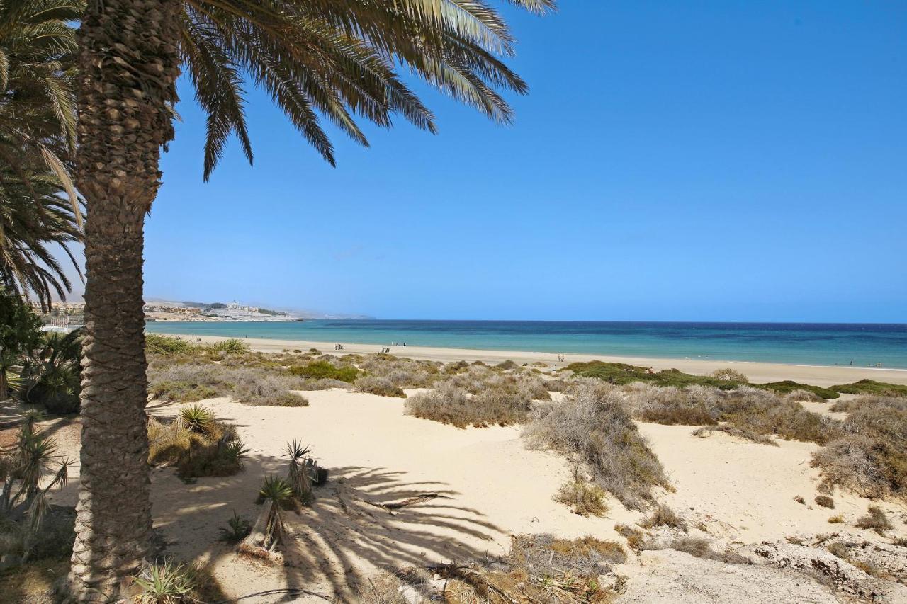 Bahía Vista * Costa Calma