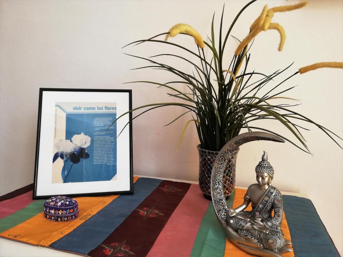 Estudio Con Encanto Apartment