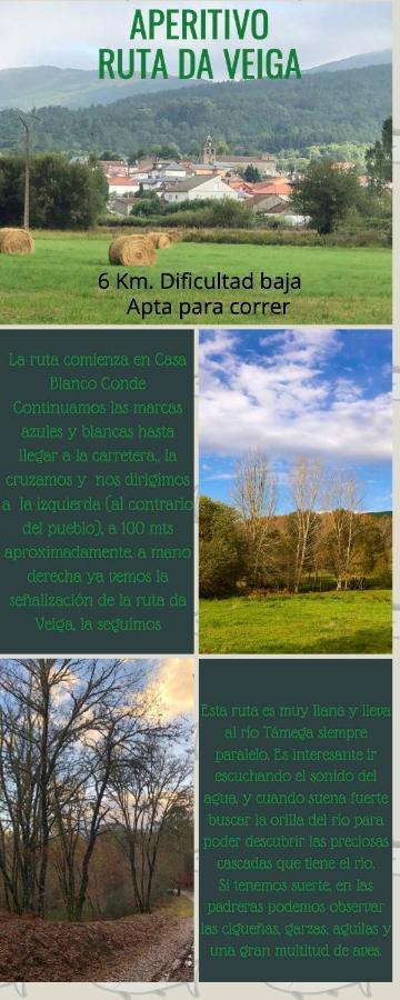 El Camino * Laza