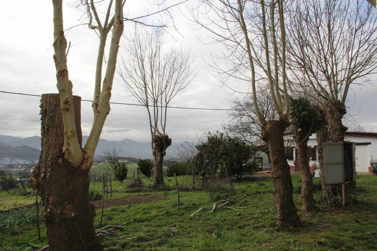 Apartment Rurales Patxillaborda Mende