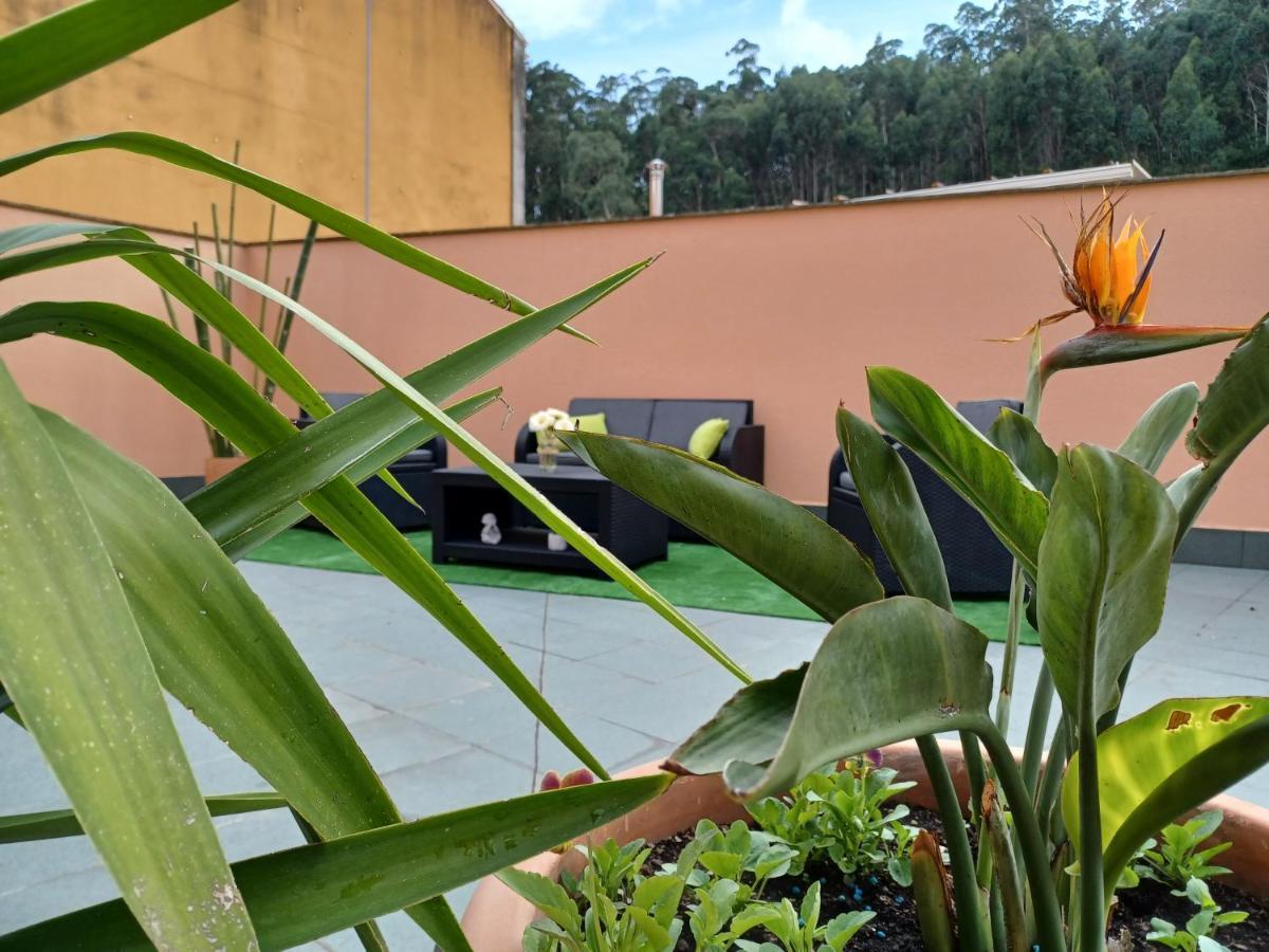 Apartamento Estela *