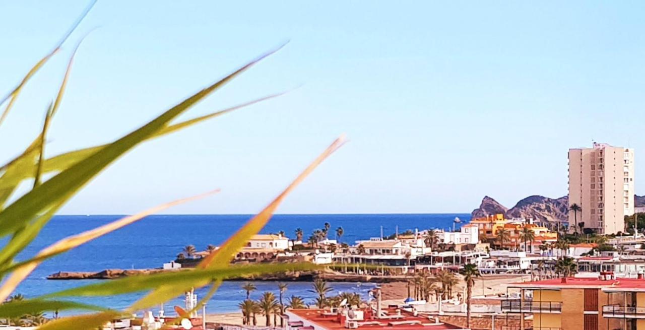 Spectacular Penthouse 100m From Apartamento
