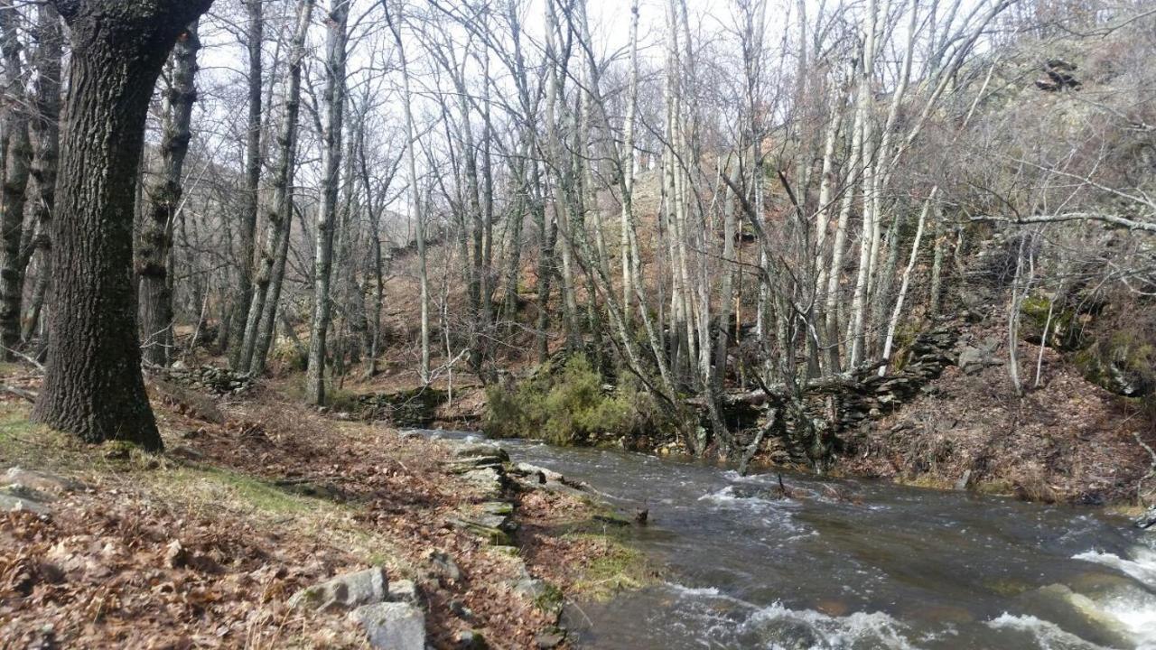 Holiday home Albarranco Pradena de Atienza